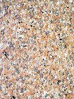 水包水多彩涂料